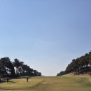 (주)글로벌에이스 | 가을 단풍의 향연, YJC골프클럽(구 여주CC) 라운딩 후기