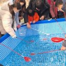 피자스쿨양평점 | 2025 양평빙송어축제 예매 후기! 수미마을 패키지 차이·썰매·할인 완벽 가이드