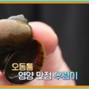 서탄회화농장 네이버블로그
