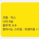 루루펫살롱 티스토리