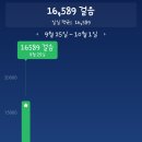 둘이두리 이미지