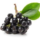 ‘왕의 열매’ 아로니아의 효능과 복용법 이미지