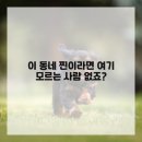 엠플란트치과의원 이미지