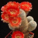 미산중학교 이미지