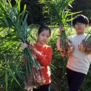 나눔염소농장 이미지