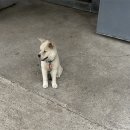 귤림하우스 이미지