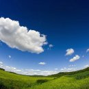 아리랑목장 이미지