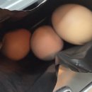 산호목욕탕 이미지