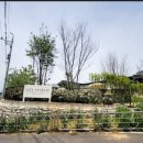 둔포애견 이미지