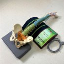 유니크메디칼 이미지