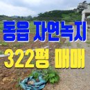 동읍322 이미지