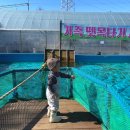 수원-1262 | 경기도 눈썰매장 빙어낚시 팜팜랜드 시흥 아이와 가볼만한곳