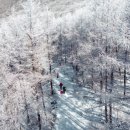 은세계 이미지