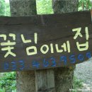 꽃님이네민박 이미지