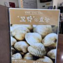 벌교 | 양평여행 강하면맛집 추천｜양평벌교꼬막 찌개 한상 후기