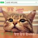마검포신항(해경옆) | 함께한 무창포 체이스 선단 배 광어 낚시대회 참가 후기, "대광어는 전설속의 물고기 인가요?ㅠ.ㅠ"(No.74)