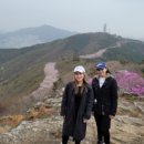 (주)비앤비투어 네이버블로그