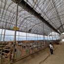 흥천목장 이미지