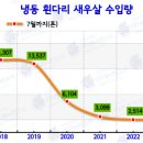 7월까지 냉동 흰다리 새우살, 전년 대비 2% 증가 이미지