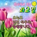 재미로