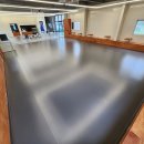 댕댕애견 이미지