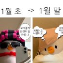스타토 이미지