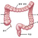바디얼라인 - 화성시 동탄반석로 172 | 바디얼라인