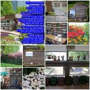 느티나무작은도서관 이미지