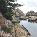 장호식당 이미지