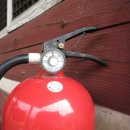 느티나무 일원 이미지