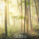 만상 이미지