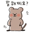 빡빡이제주생해물탕
