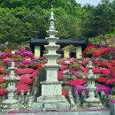 금강사 - 서구 북항로245번길 13-27 | 금강사