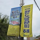 화랑포식당