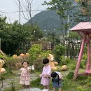 토마스펜션 이미지