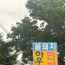 꿀돼지하우스민박 이미지