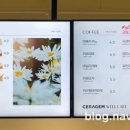 세라젬 부산 명지 직영점 이미지