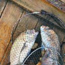 영흥바다낚시터 이미지