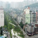 아날로그 이미지