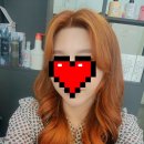 또반헤어