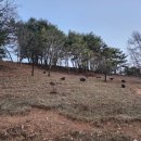 산너미목장 이미지