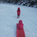 둥구나무민박 이미지