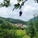 상원농장 이미지