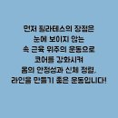 피트니스다이브 이미지