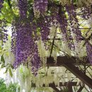 구례백두대간생태교육장 이미지