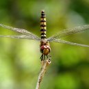 개화스크린골프 이미지