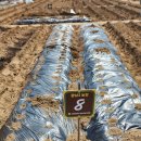 광남2동-5 이미지