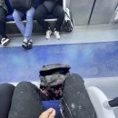 스타 인력사무소 이미지