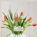 튜울립치과의원 이미지