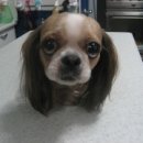 공덕제일약국 이미지